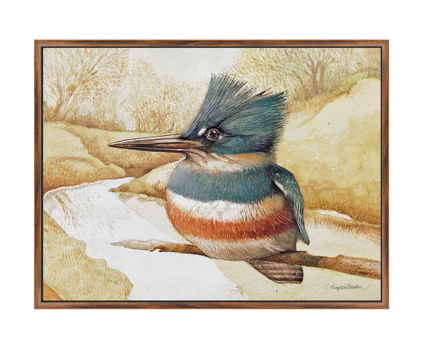 Kingfisher on Fishing River - Gallery Wrapped Canvas