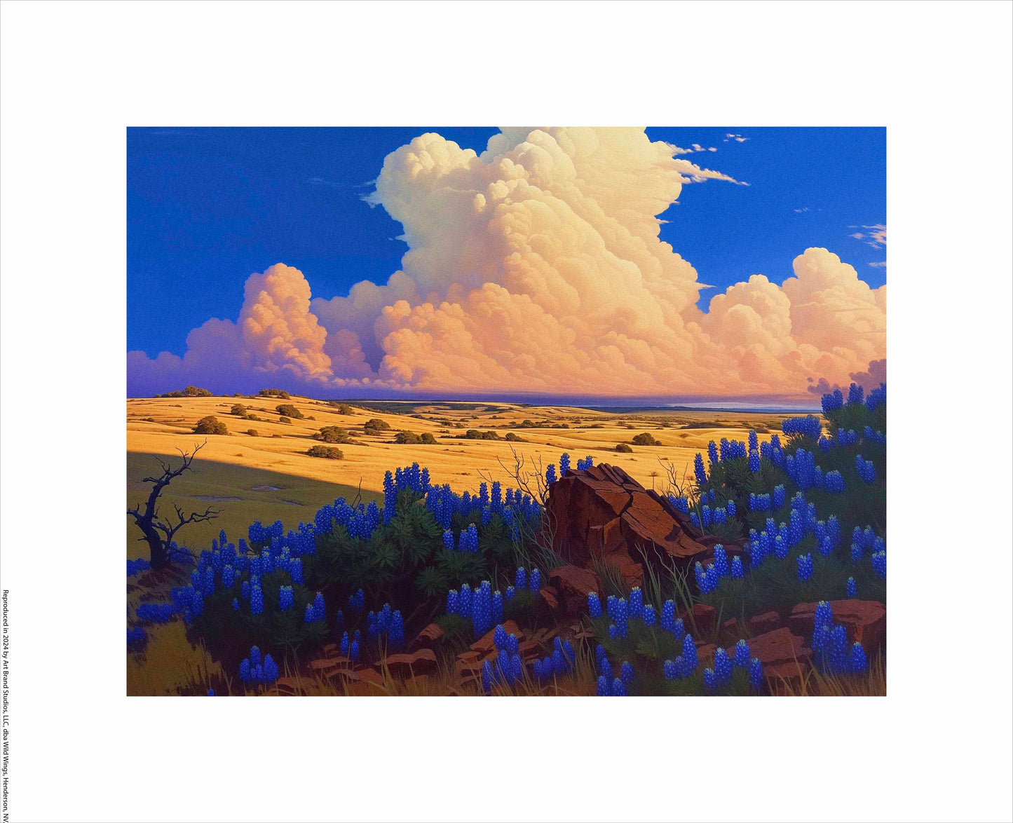 179397_ GFT The Big Fields of Texas II  9X12 Paper Print.jpg
