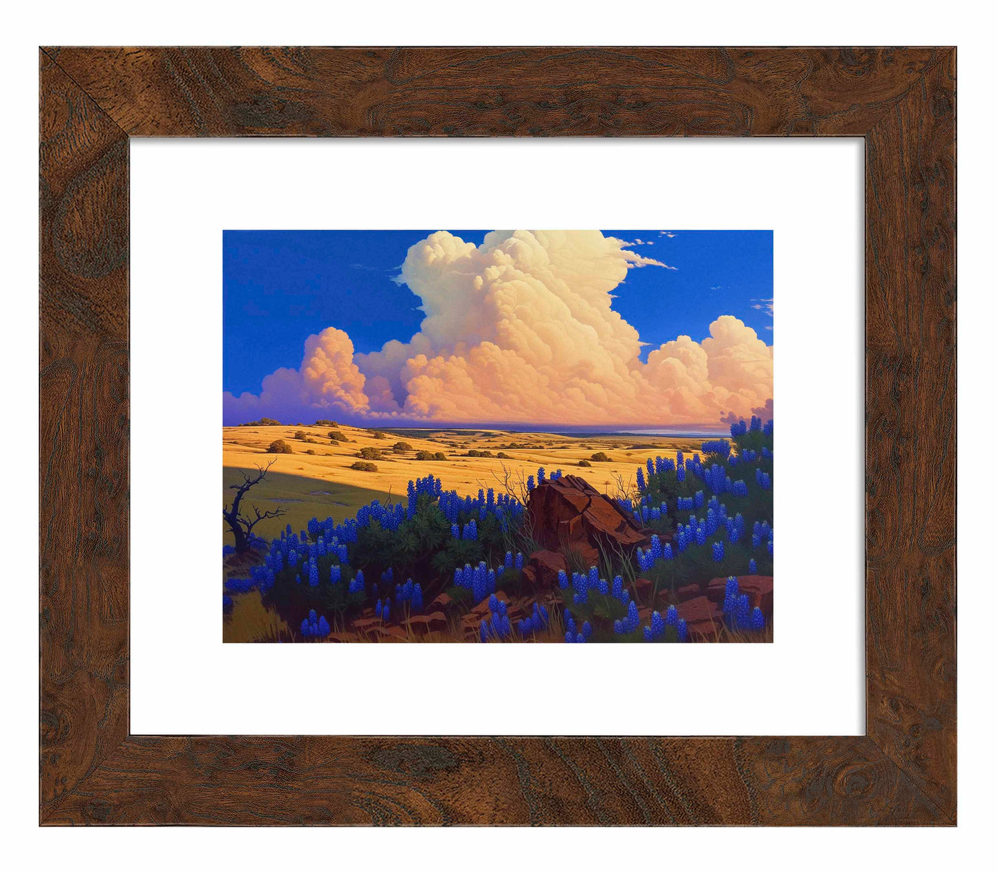 179563_ FRA The Big Fields of Texas II  9X12 Dashboard Burl  Paper Print.jpg