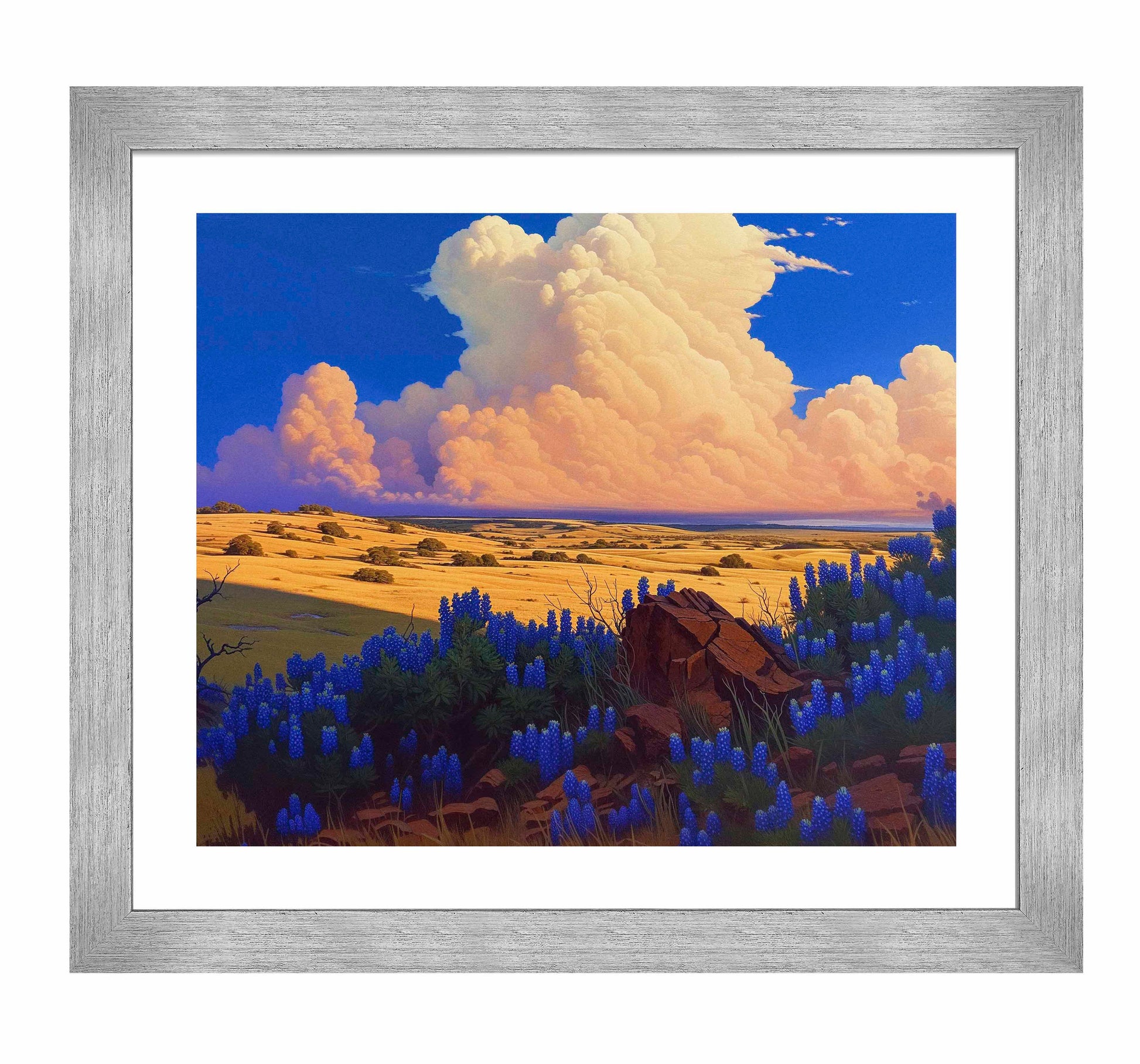 179568_ FRA The Big Fields of Texas II  20X24 Salerno Silver Framed Paper Print.jpg