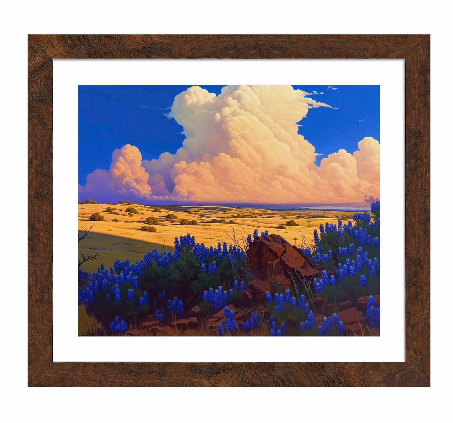 179569_ FRA The Big Fields of Texas II  20X24 Dashboard Burl  Paper Print.jpg