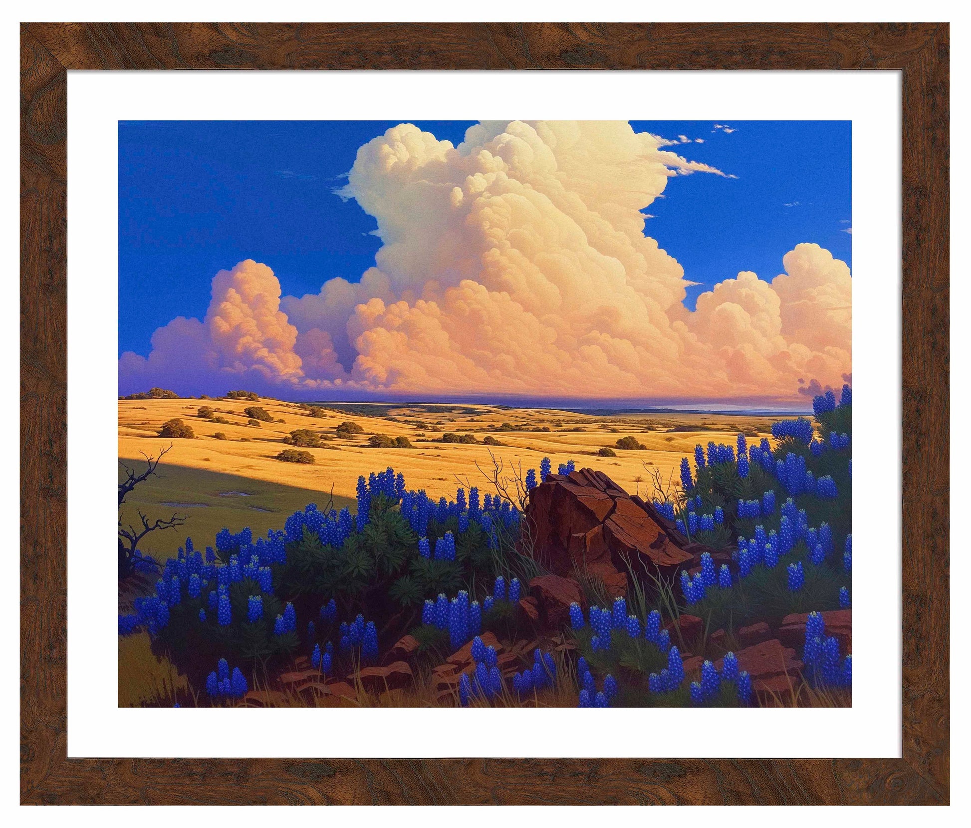 179572_ FRA The Big Fields of Texas II  24X30 Dashboard Burl  Paper Print.jpg