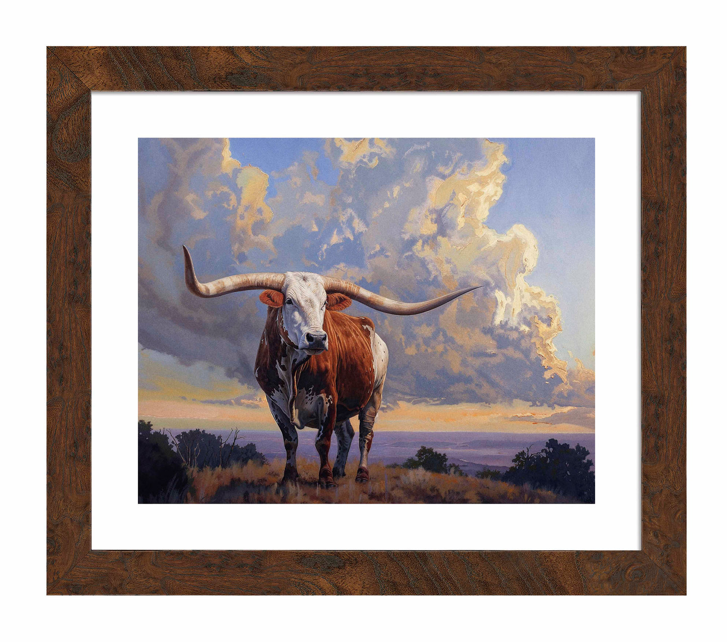 Hill Country Monarch I - Art Prints