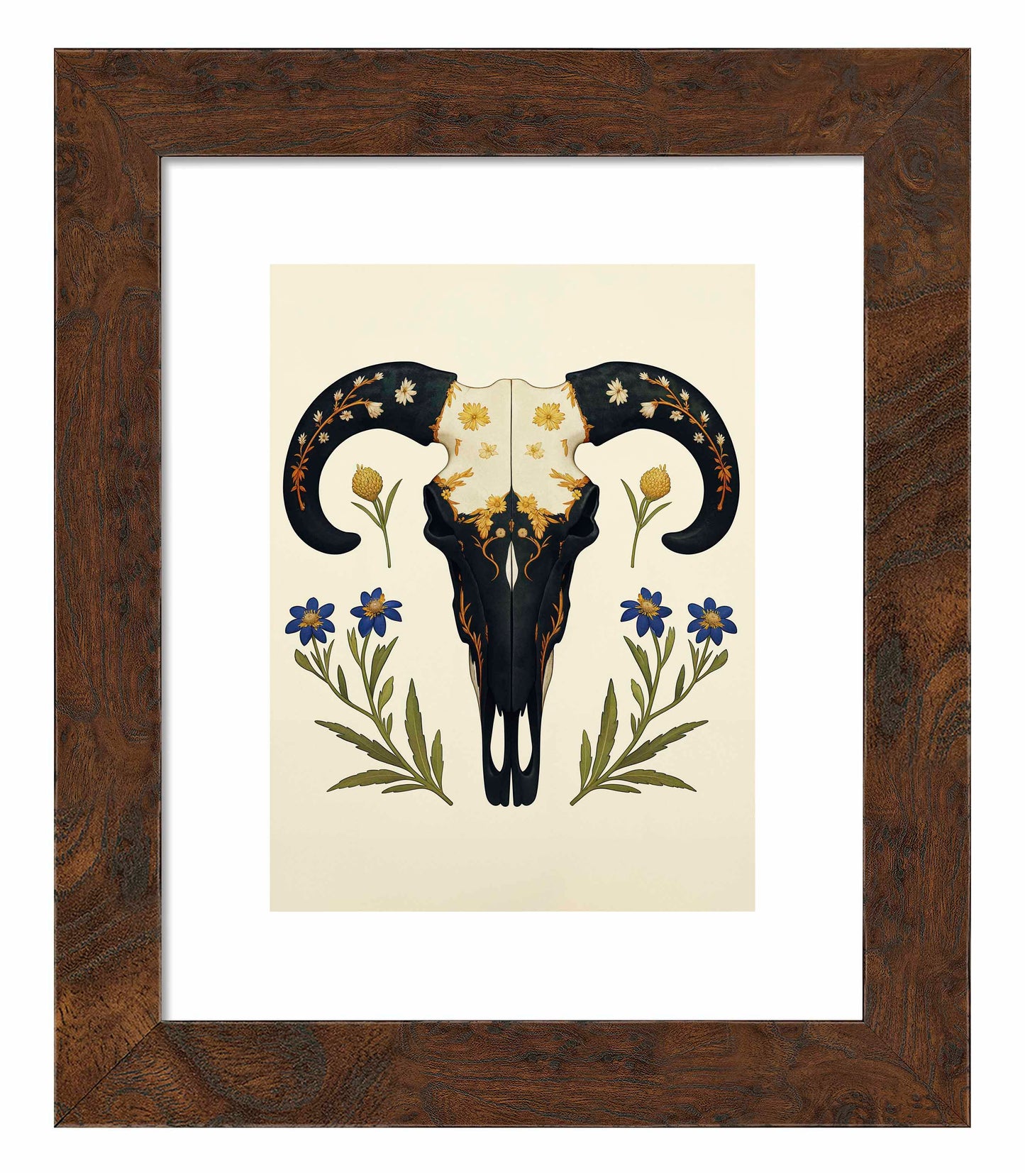 Alamo's Witness - Art Prints