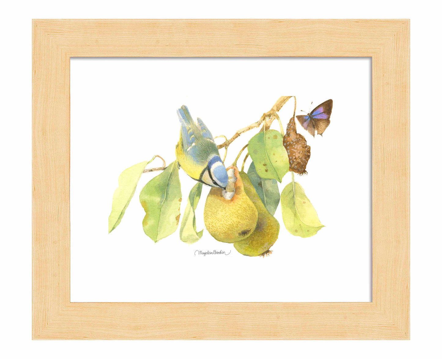 Blue Tit In the Orchard - Art Prints