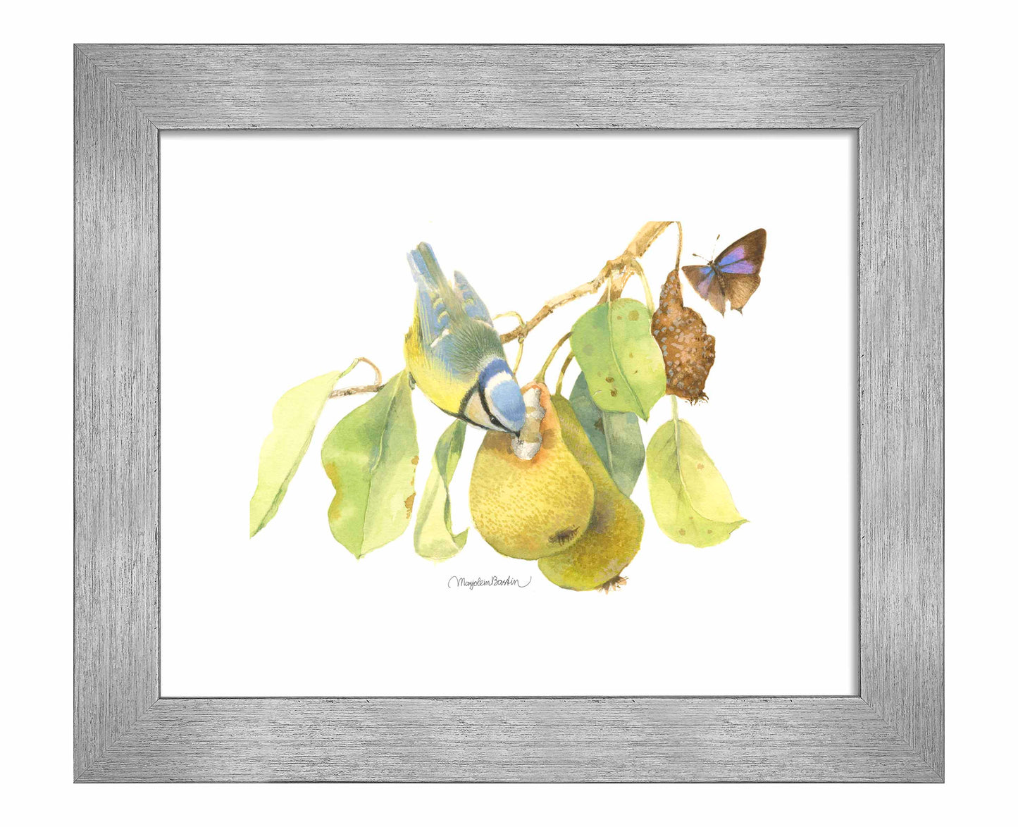 Blue Tit In the Orchard - Art Prints