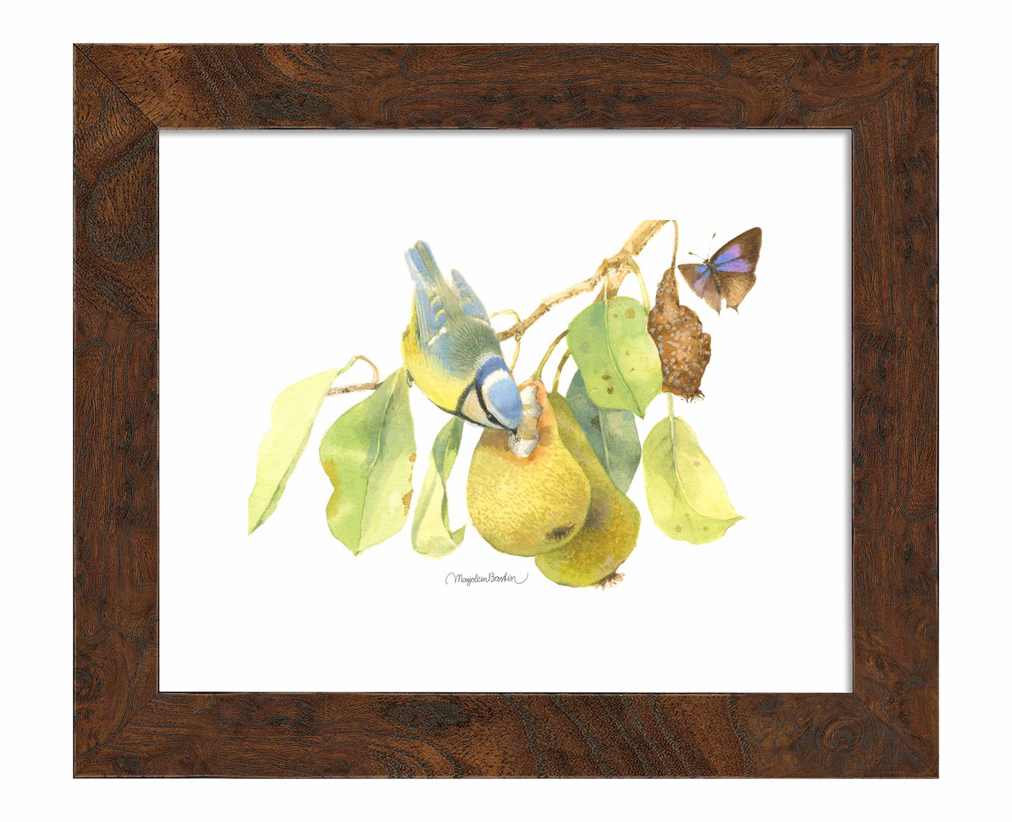 Blue Tit In the Orchard - Art Prints