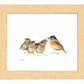 The Needy Bunch - Art Prints