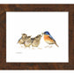 The Needy Bunch - Art Prints