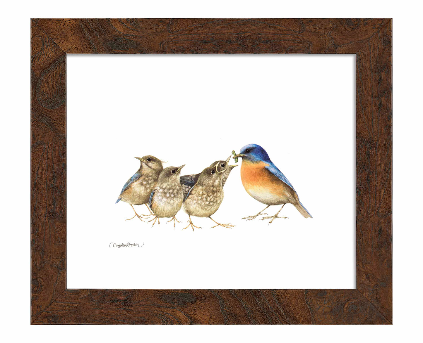 The Needy Bunch - Art Prints