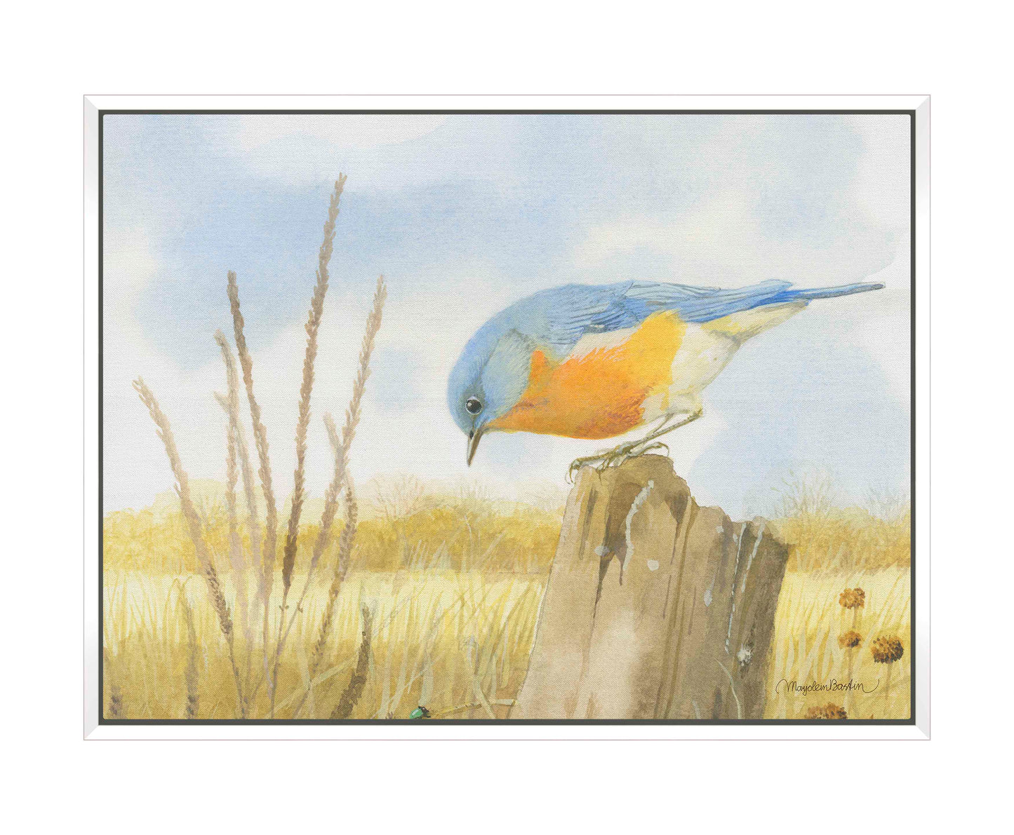 Scouring Around - Gallery Wrapped Canvas