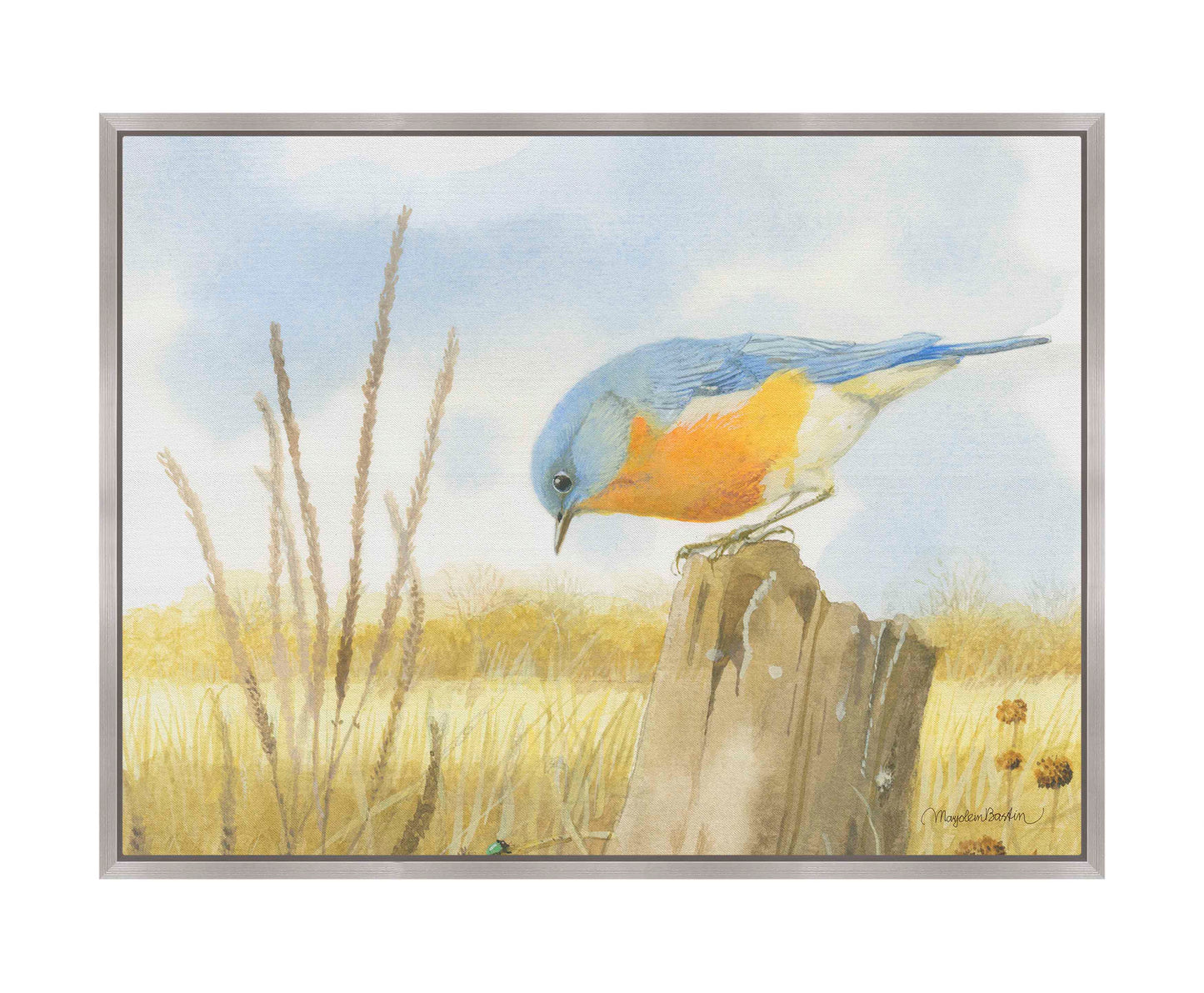 Scouring Around - Gallery Wrapped Canvas