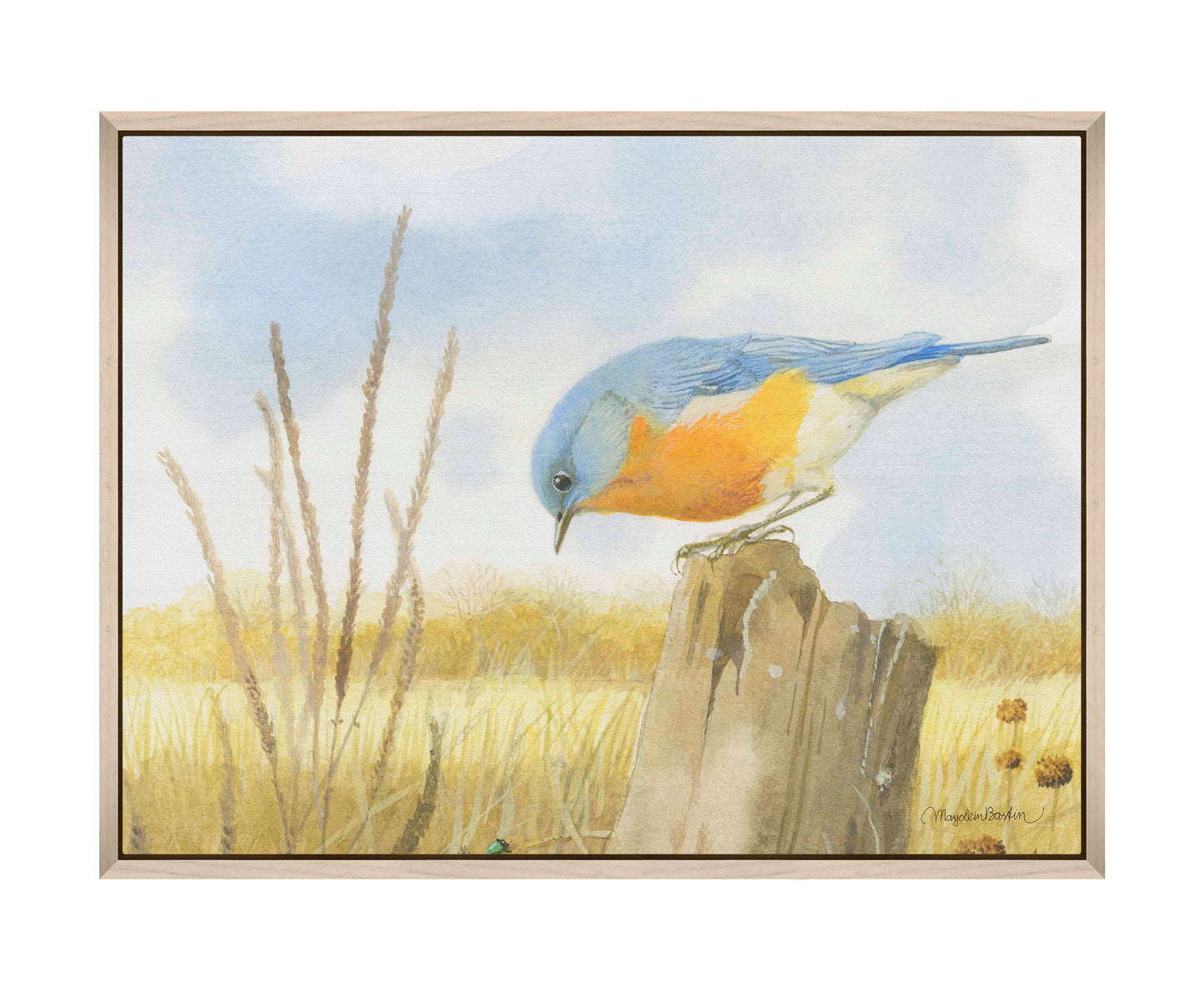Scouring Around - Gallery Wrapped Canvas