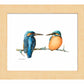 The Common Kingfisher - Art Prints