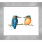 The Common Kingfisher - Art Prints