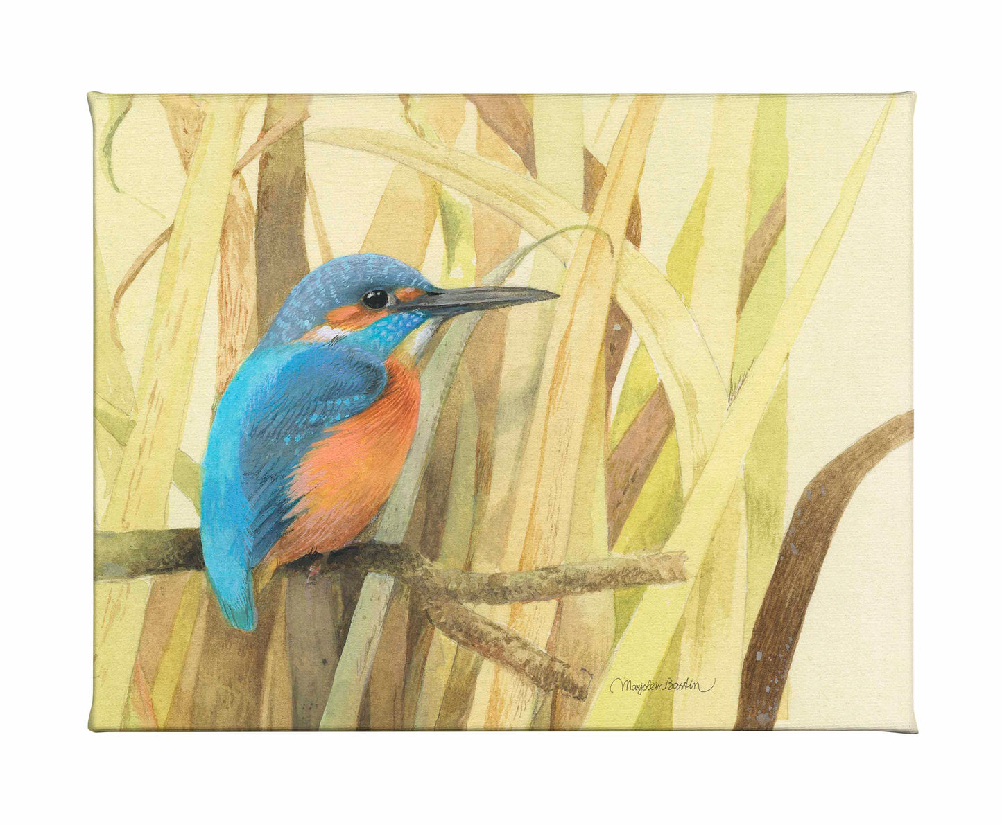 Hiding in the Reeds - Gallery Wrapped Canvas