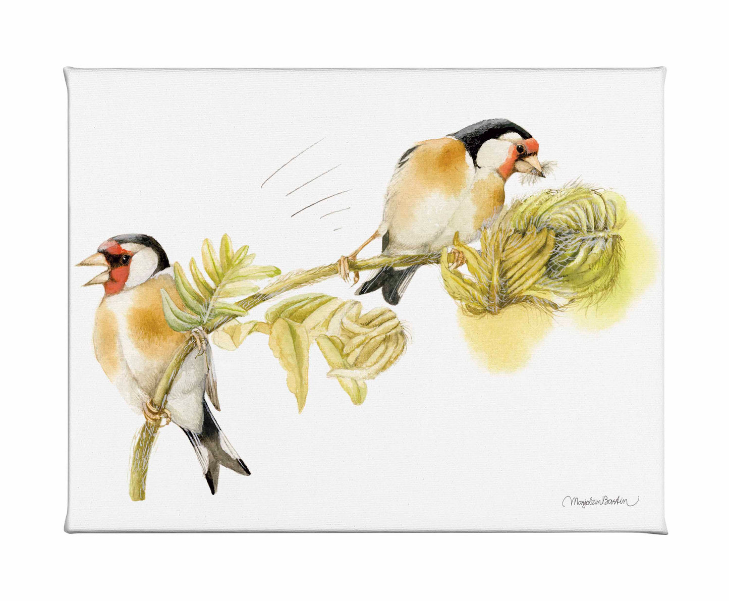 Goldfinches on Fern - Gallery Wrapped Canvas