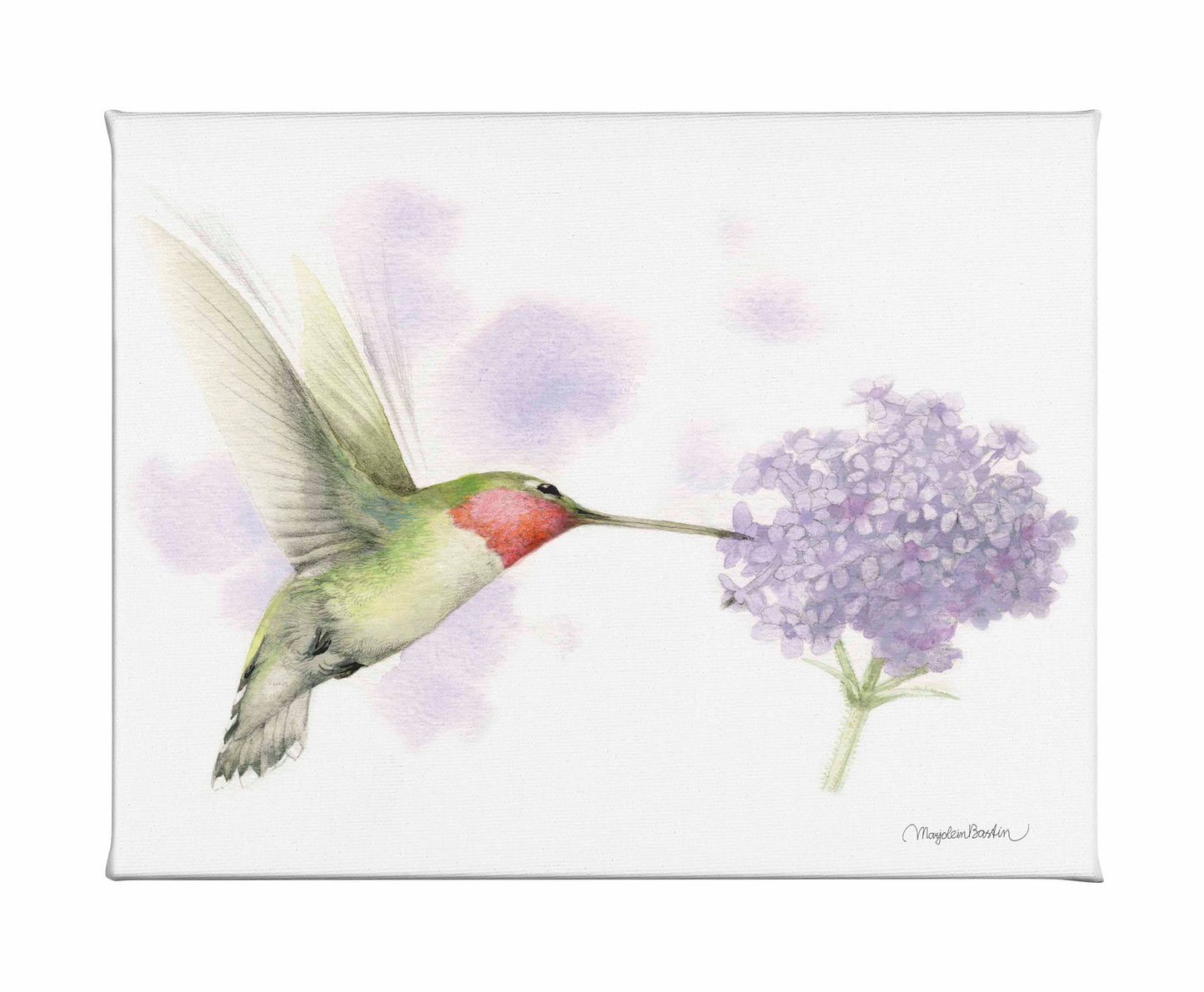 Precision Flight - Gallery Wrapped Canvas