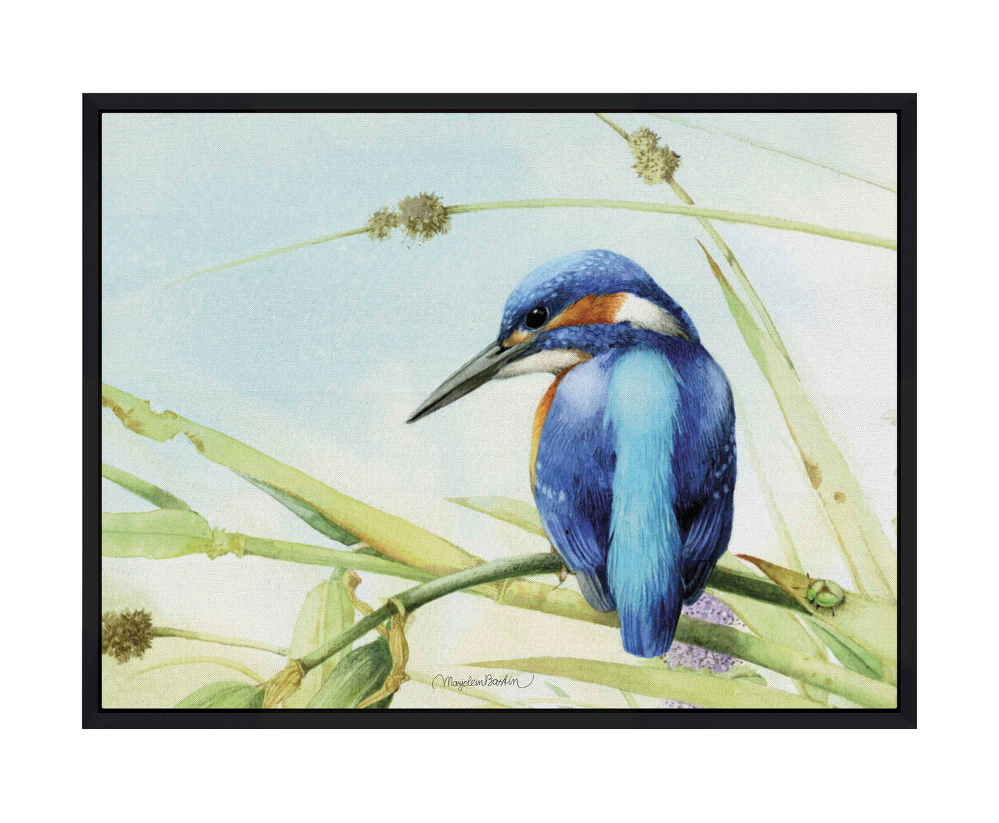 Keeping an Eye Out - Gallery Wrapped Canvas