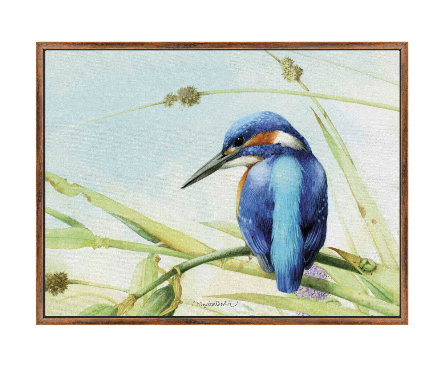 Keeping an Eye Out - Gallery Wrapped Canvas