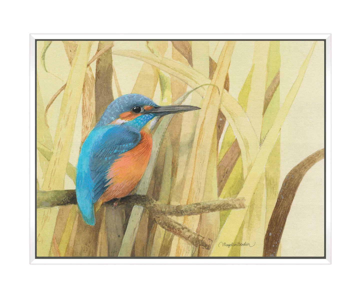 Hiding in the Reeds - Gallery Wrapped Canvas