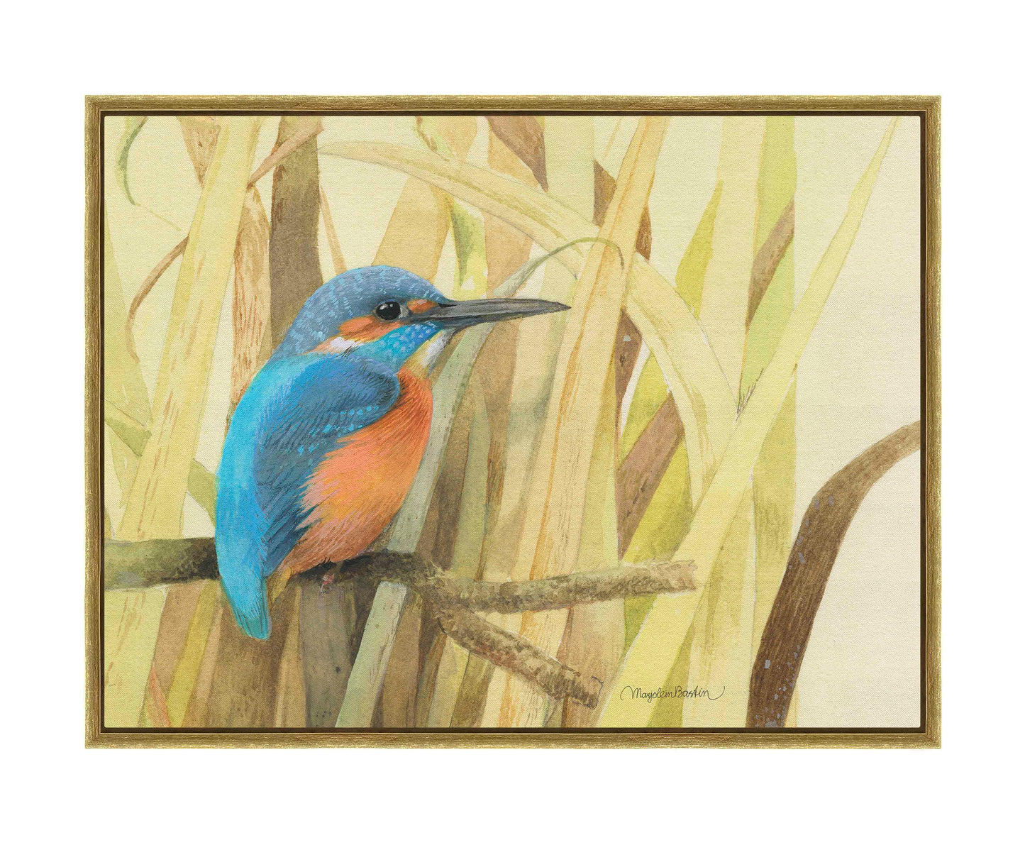 Hiding in the Reeds - Gallery Wrapped Canvas