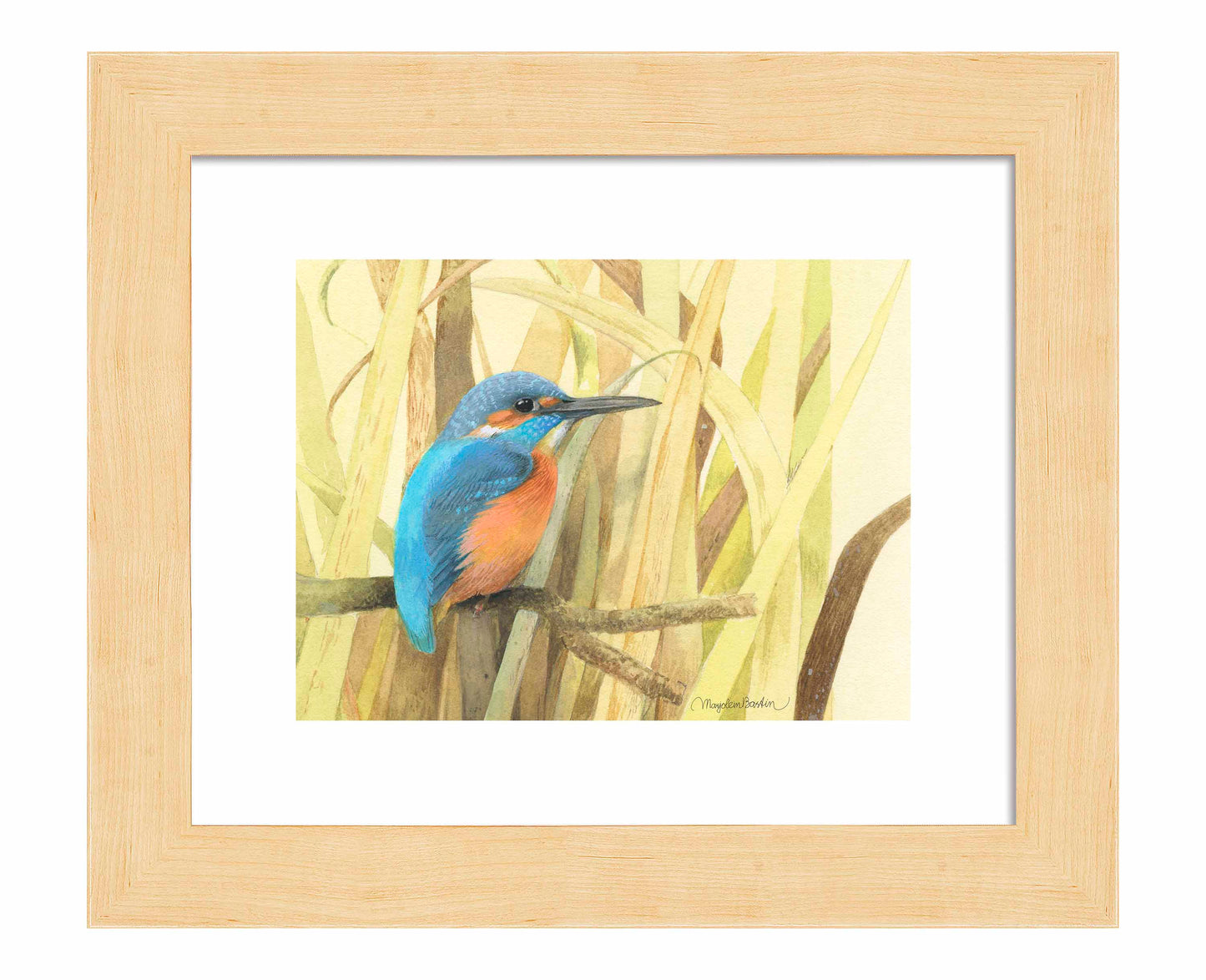 Hiding in the Reeds - Art Prints