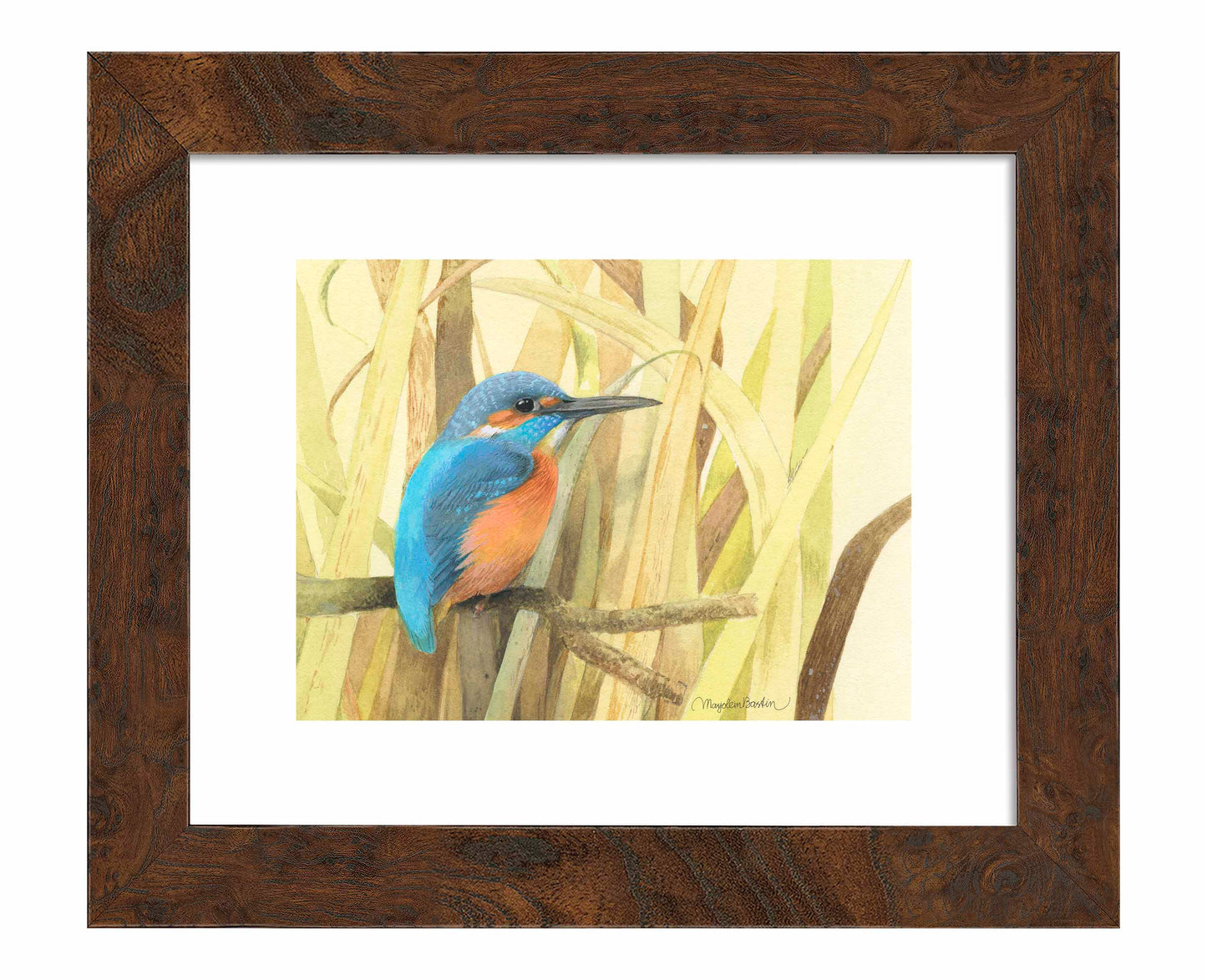 Hiding in the Reeds - Art Prints