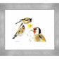 True Colors - Art Prints