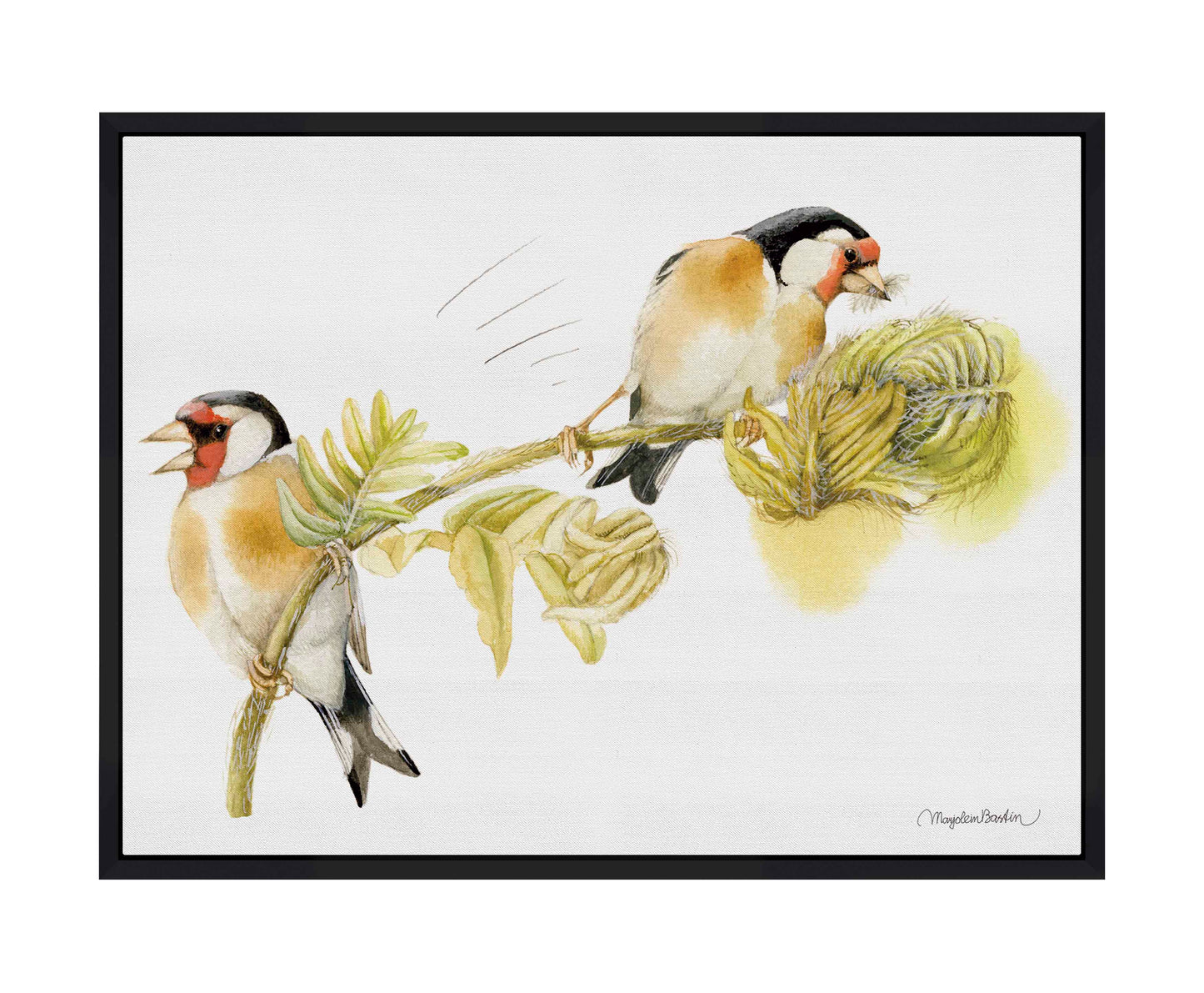 Goldfinches on Fern - Gallery Wrapped Canvas