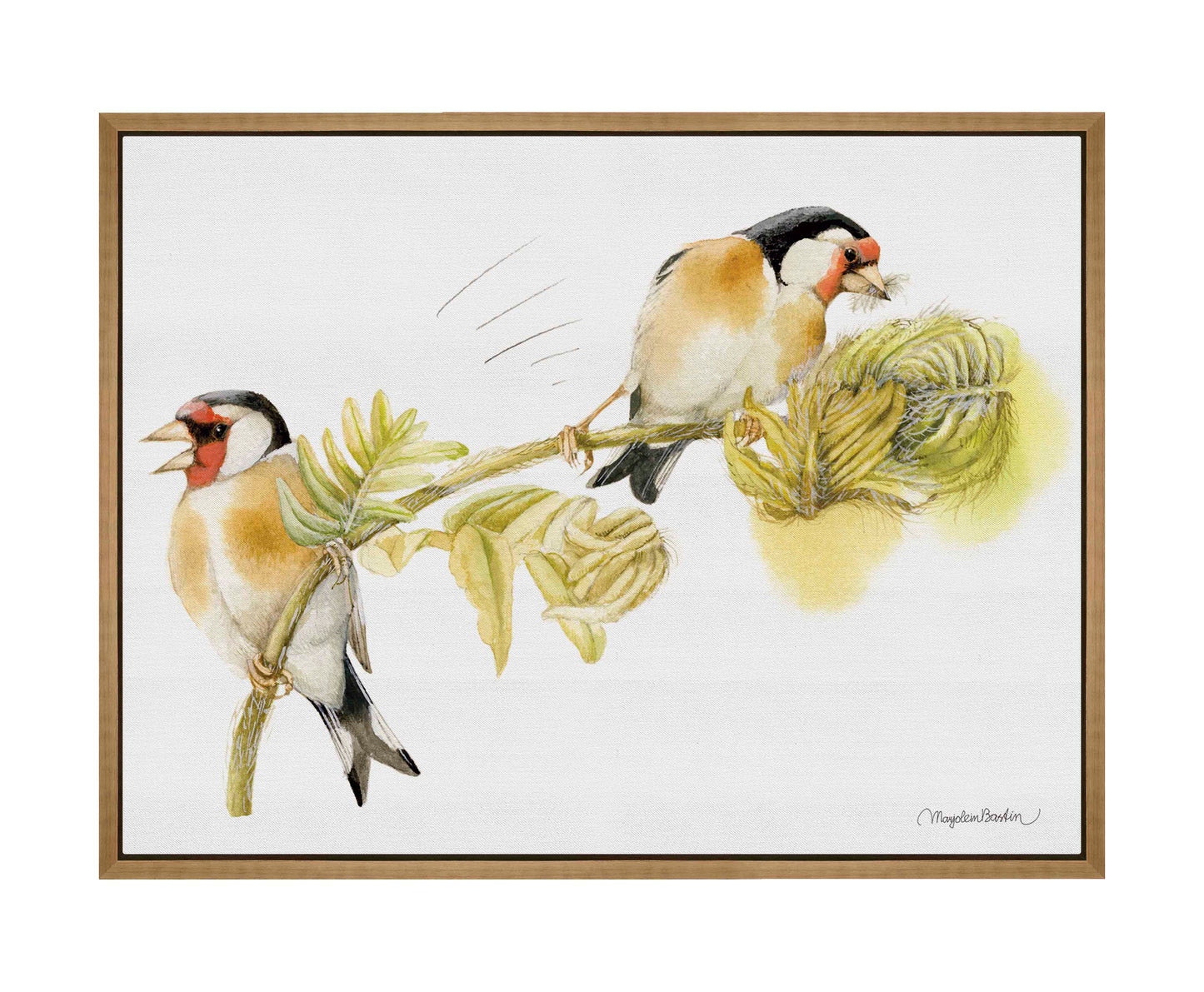 Goldfinches on Fern - Gallery Wrapped Canvas