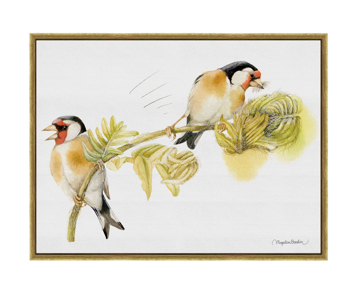 Goldfinches on Fern - Gallery Wrapped Canvas