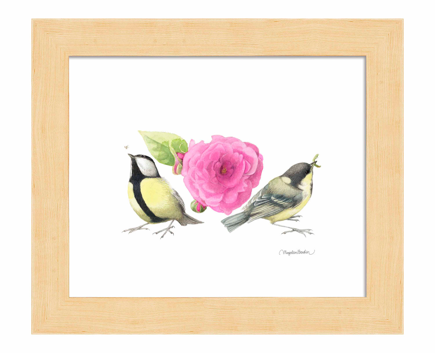 Zepherin Drouhin Rose - Art Prints