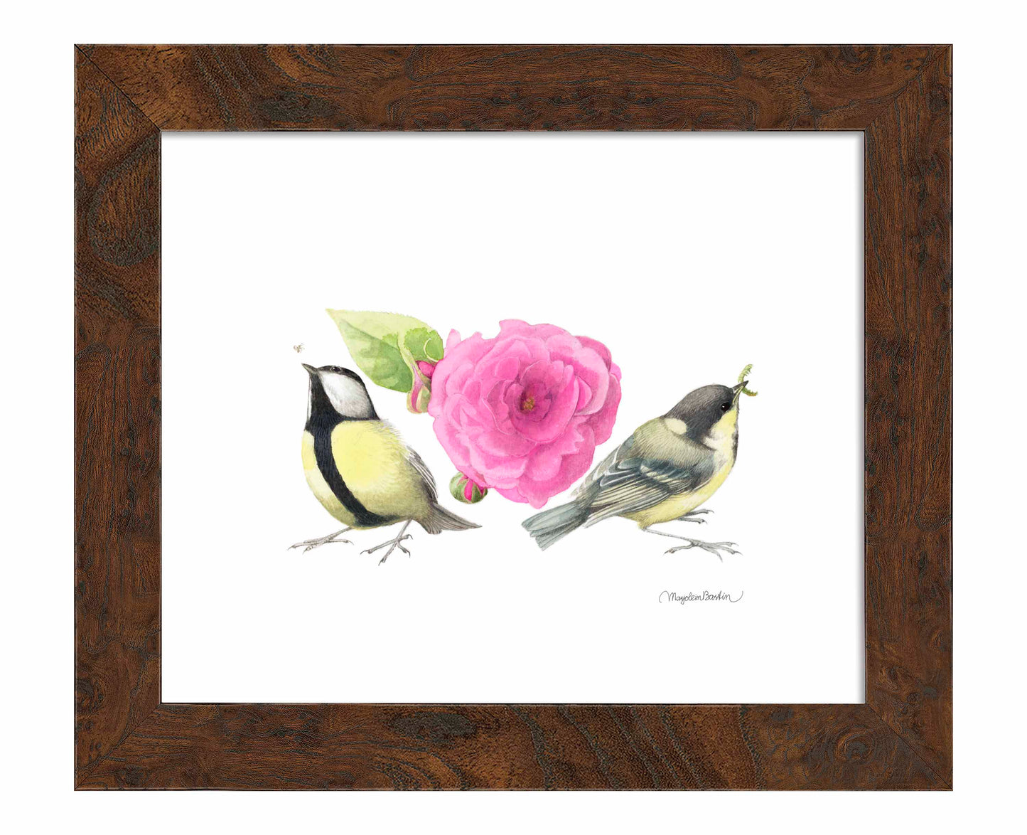 Zepherin Drouhin Rose - Art Prints