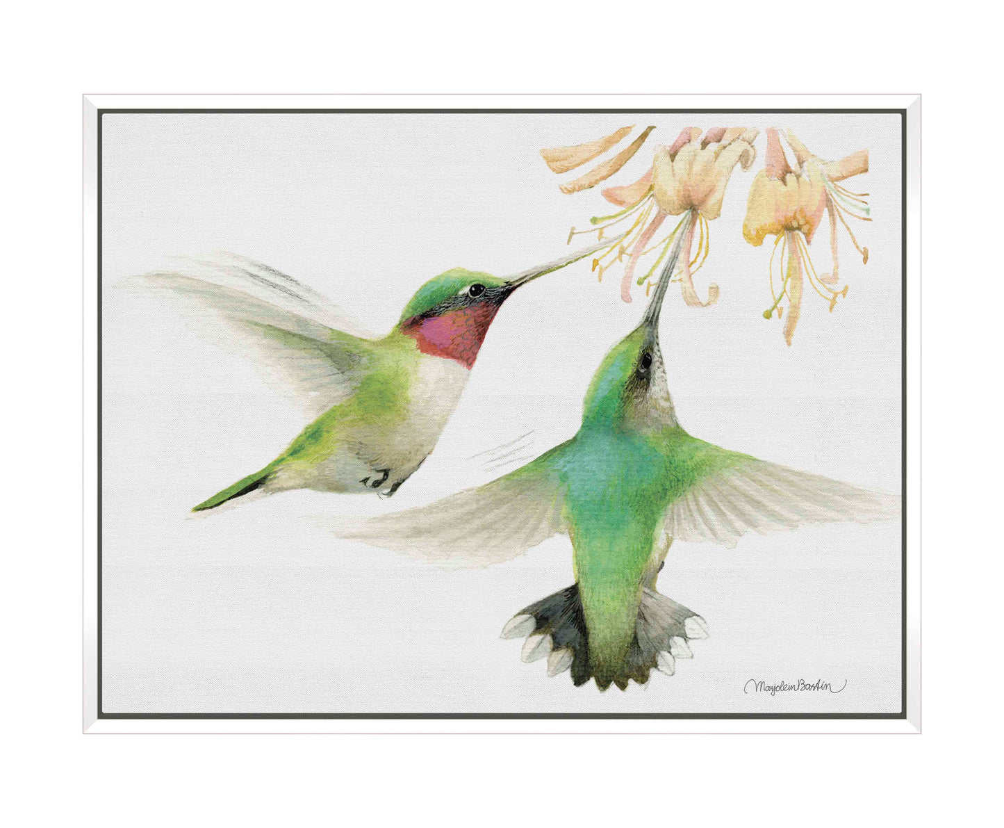Honeysuckle Appeal - Gallery Wrapped Canvas