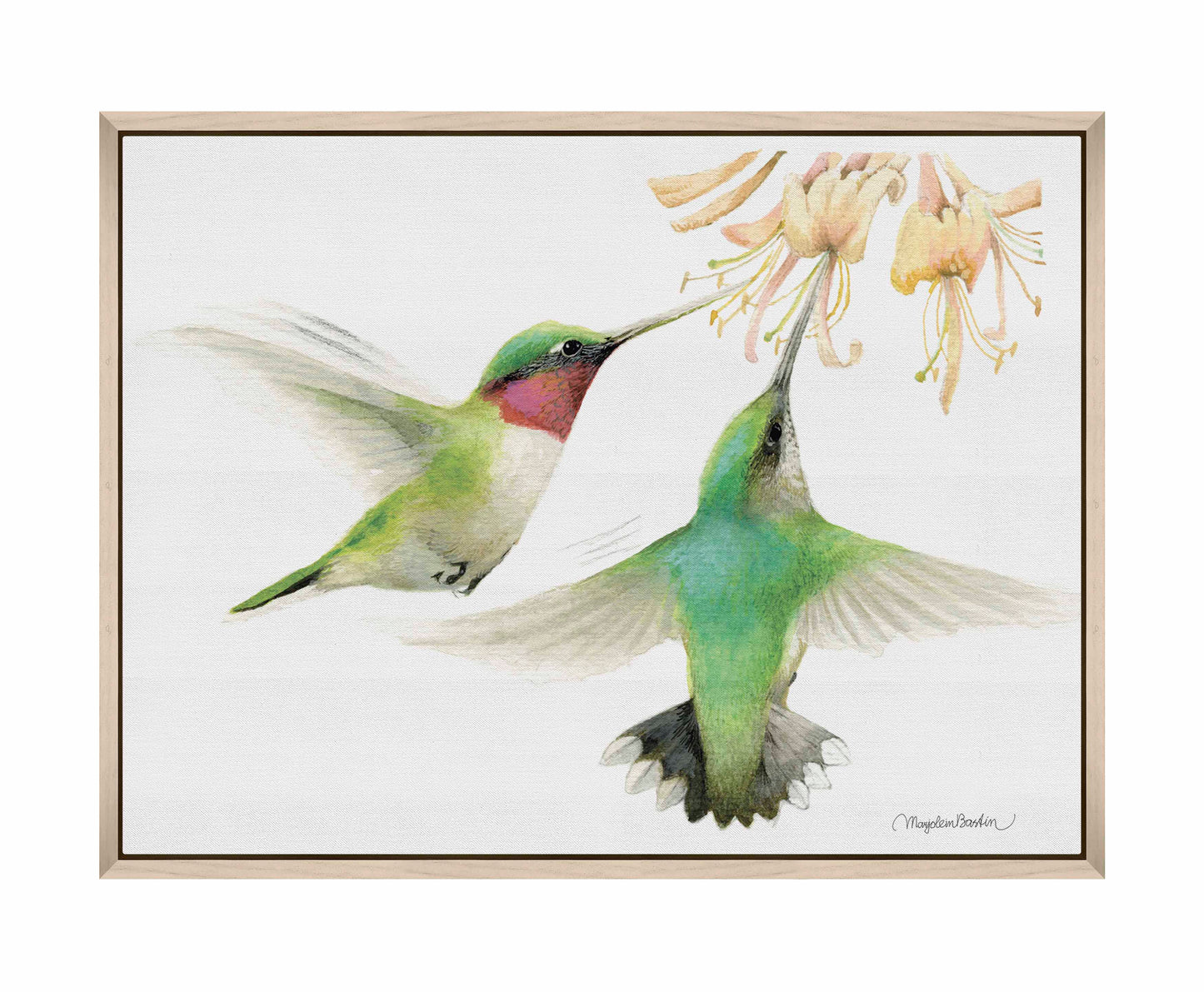 Honeysuckle Appeal - Gallery Wrapped Canvas