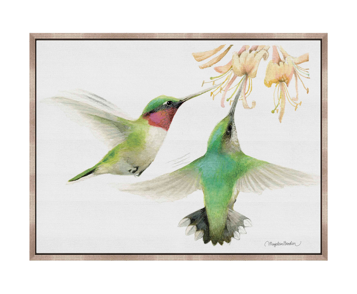 Honeysuckle Appeal - Gallery Wrapped Canvas