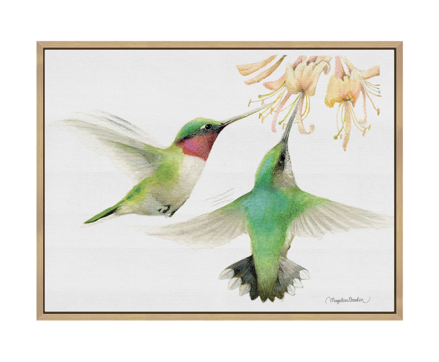 Honeysuckle Appeal - Gallery Wrapped Canvas