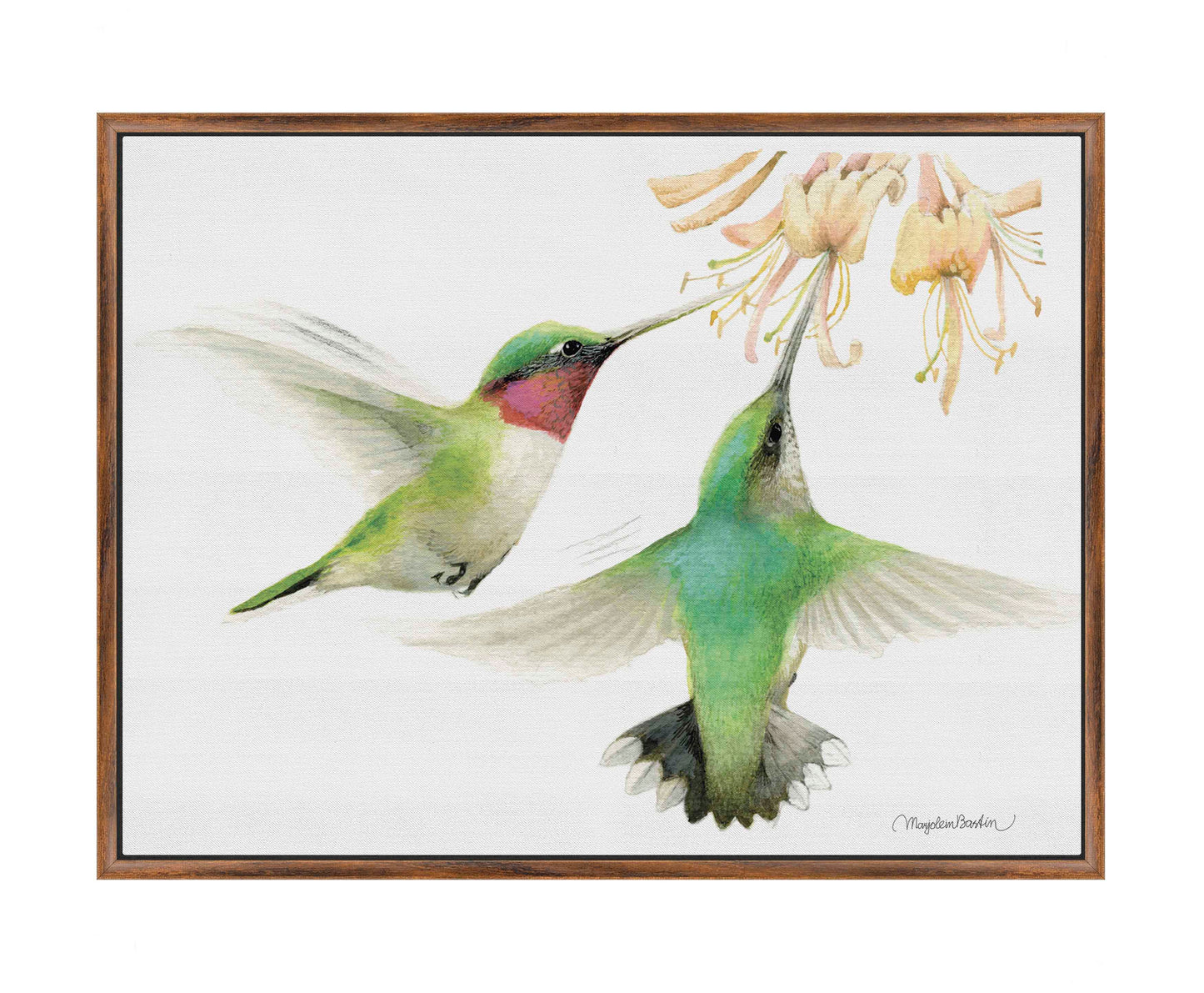 Honeysuckle Appeal - Gallery Wrapped Canvas