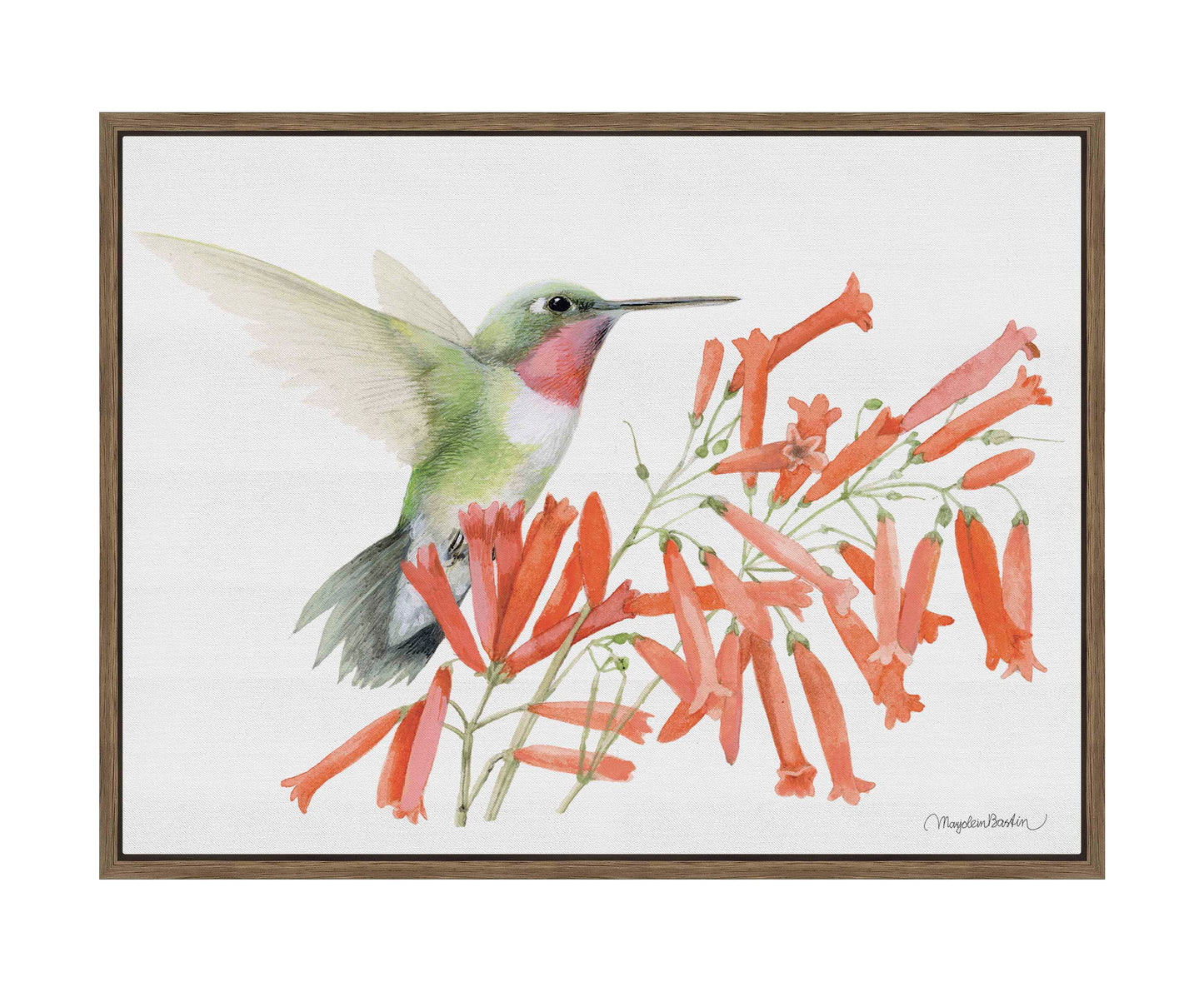Ruby-throated Hummingbird - Gallery Wrapped Canvas