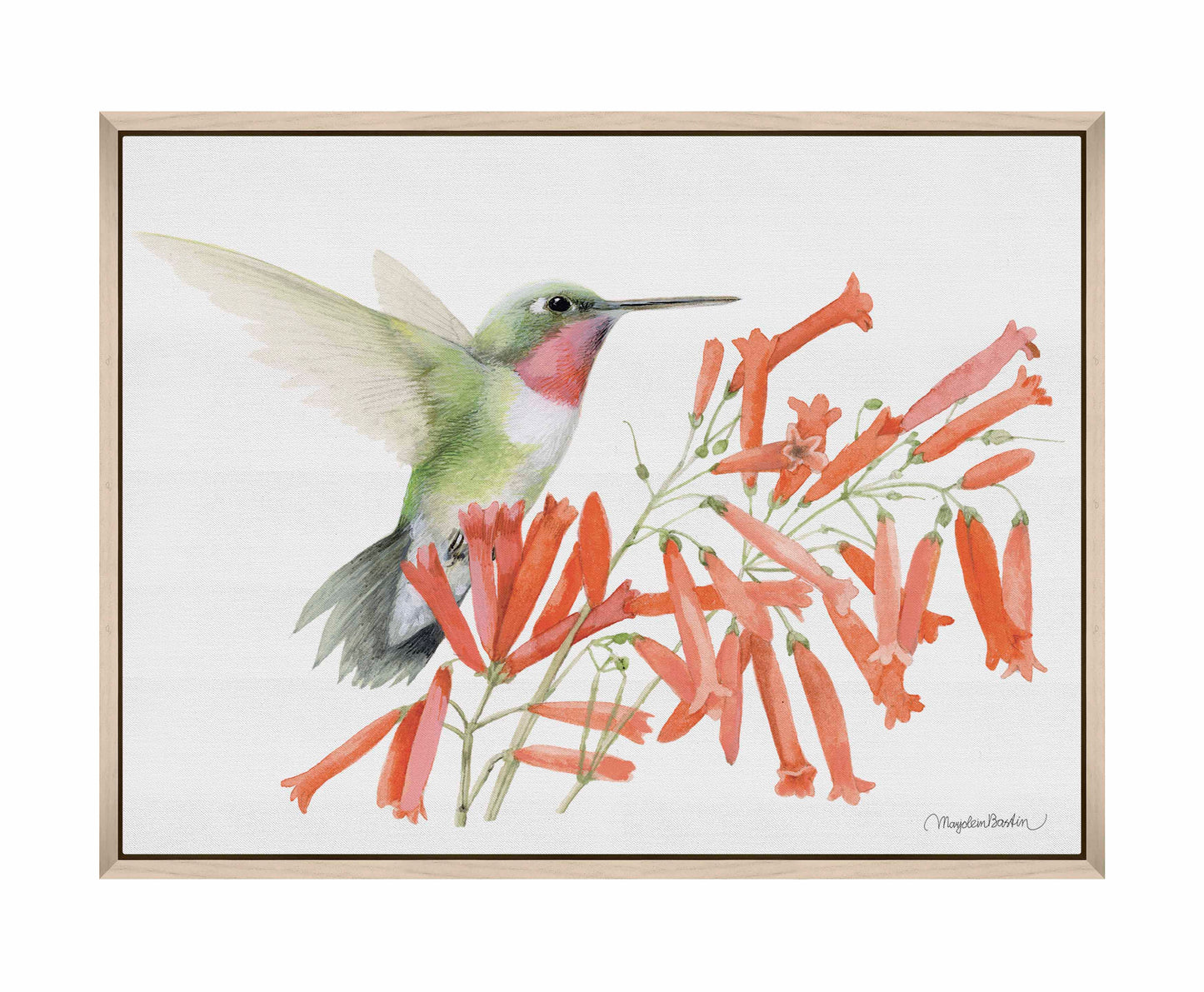 Ruby-throated Hummingbird - Gallery Wrapped Canvas