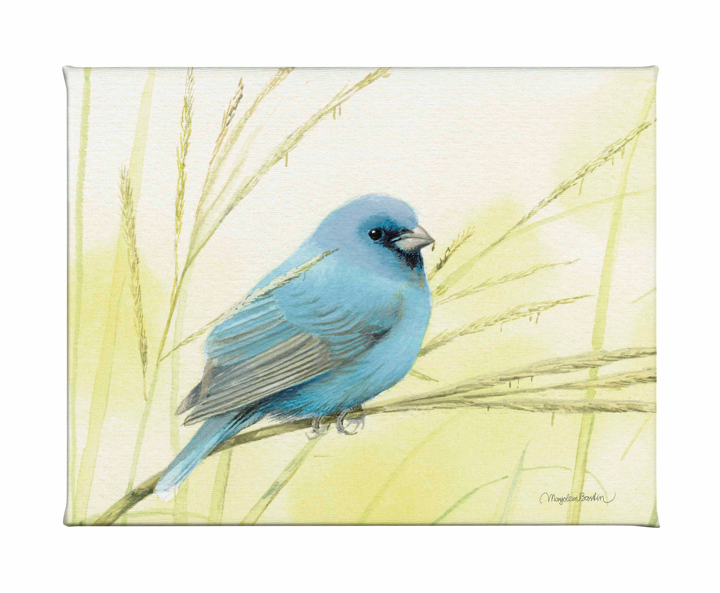 Searching for Seeds - Gallery Wrapped Canvas