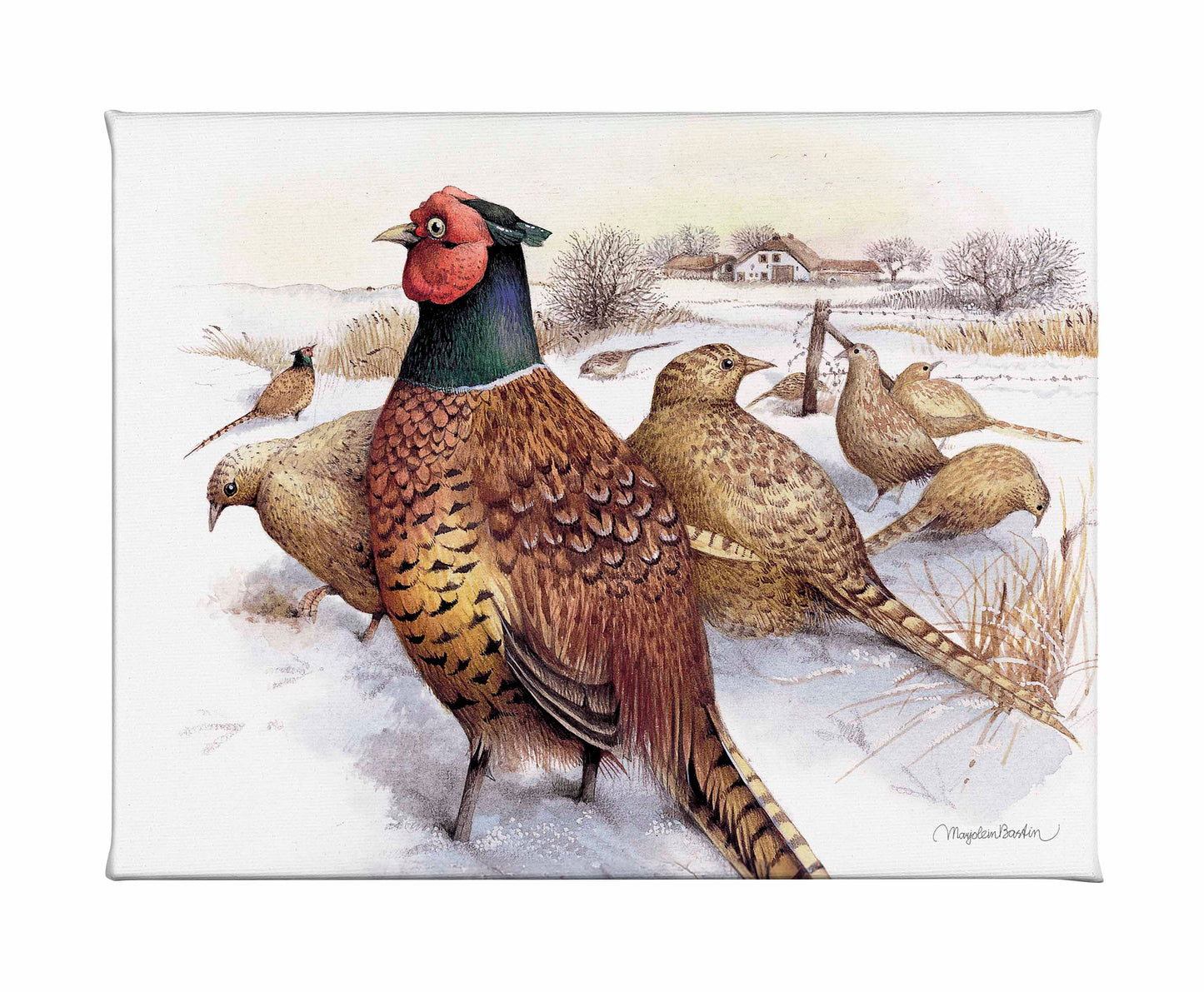 Pheasants in Snow - Gallery Wrapped Canvas
