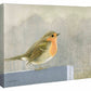 Quiet Reflection - Gallery Wrapped Canvas