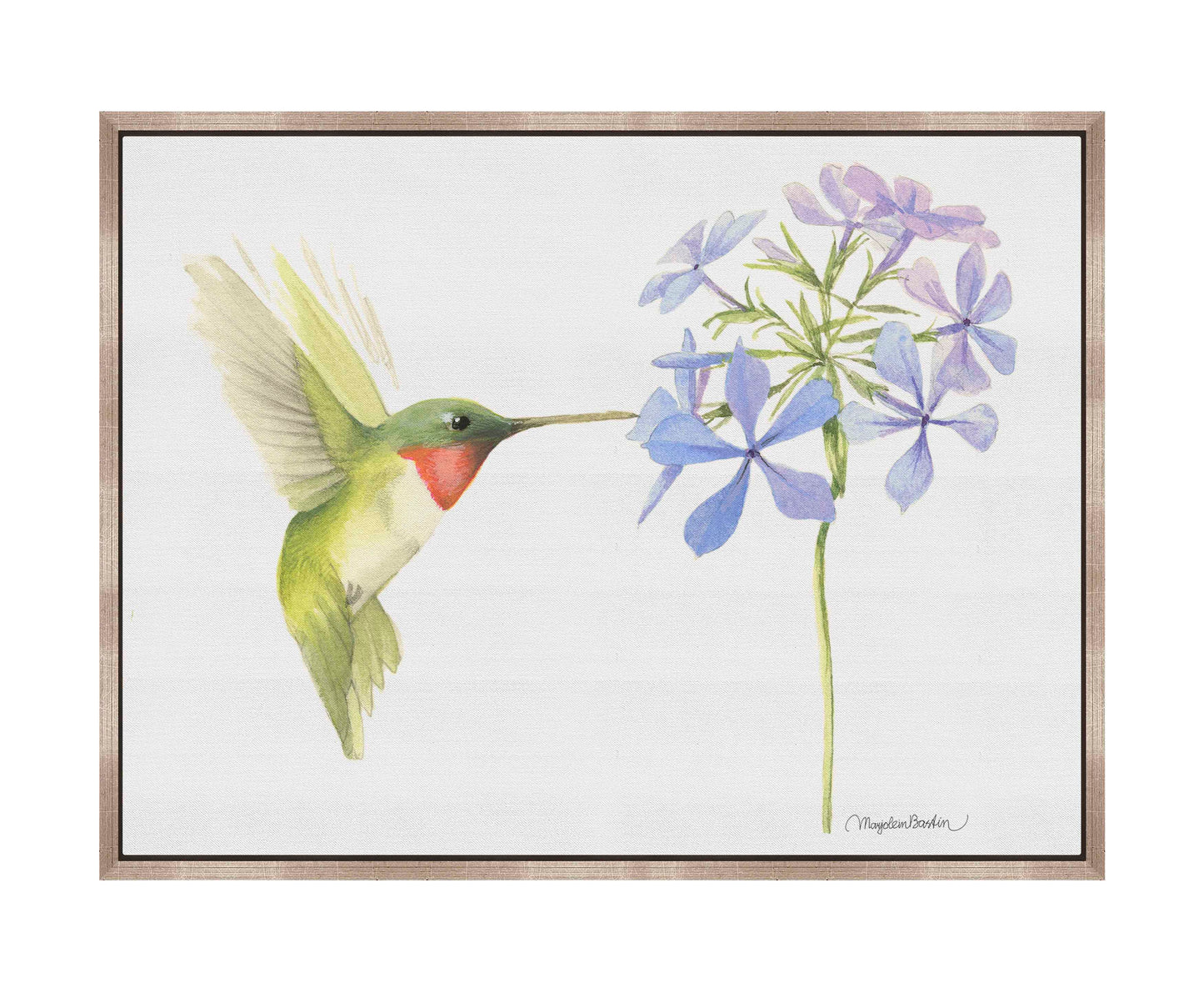 Replinishing Nectar - Gallery Wrapped Canvas