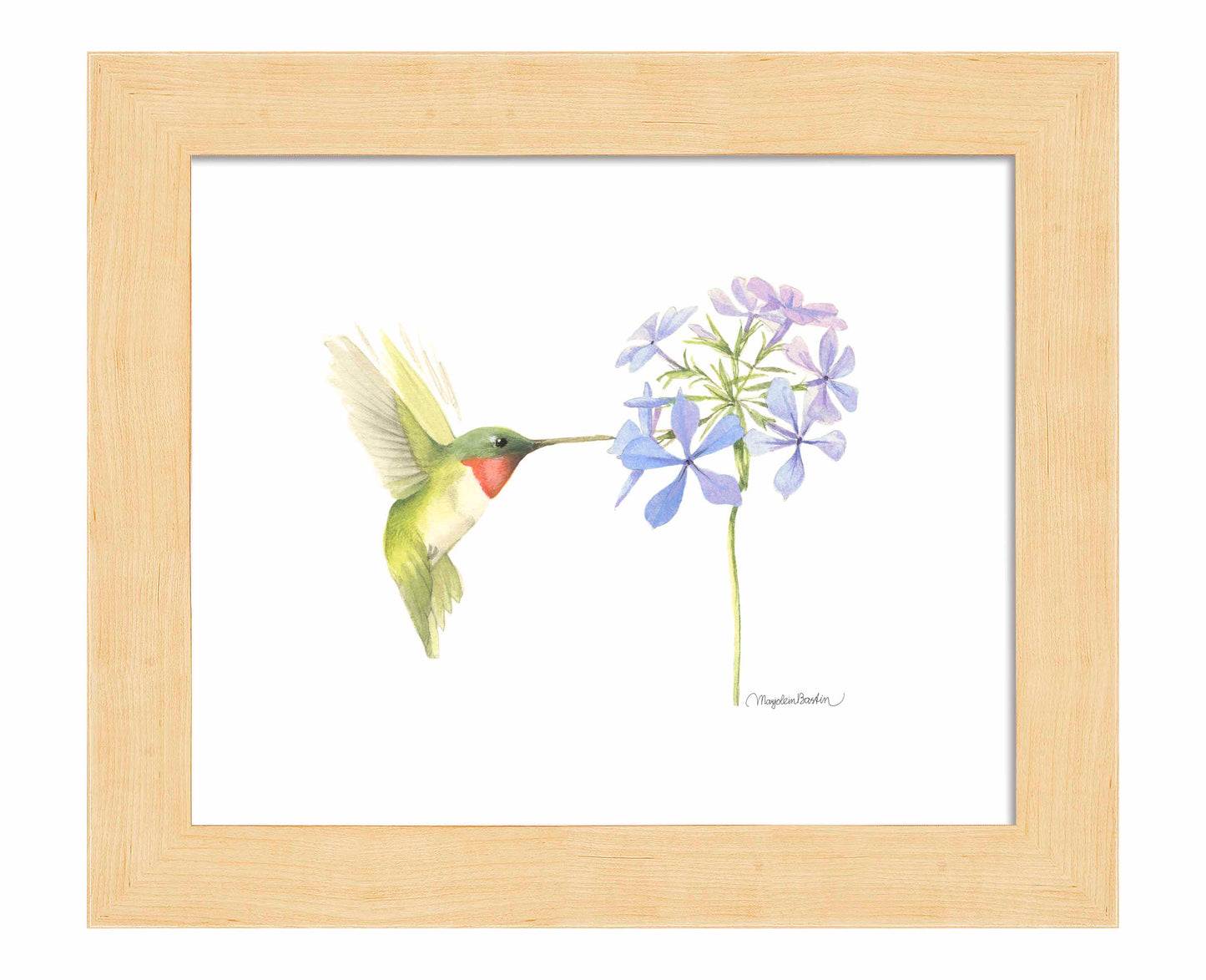 Replinishing Nectar - Art Prints