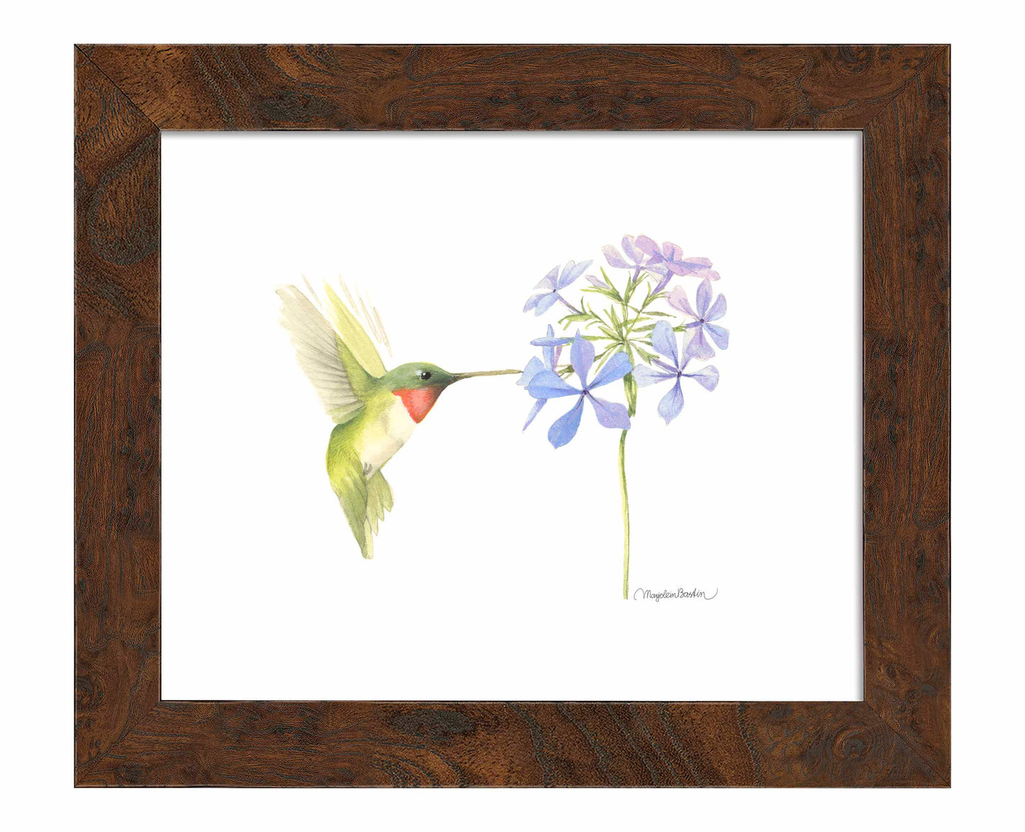 Replinishing Nectar - Art Prints