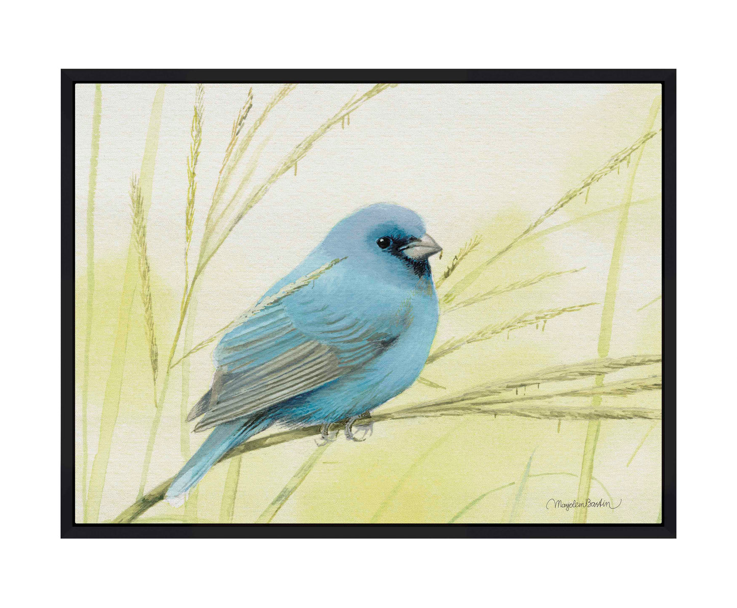 Searching for Seeds - Gallery Wrapped Canvas