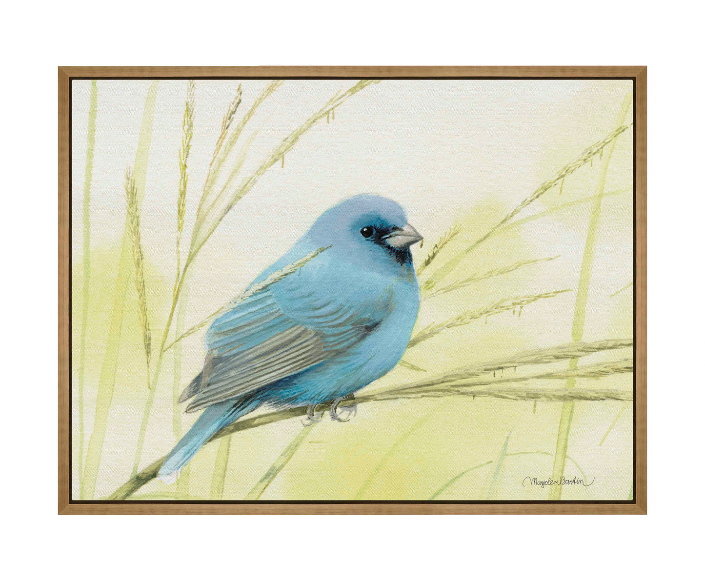 Searching for Seeds - Gallery Wrapped Canvas