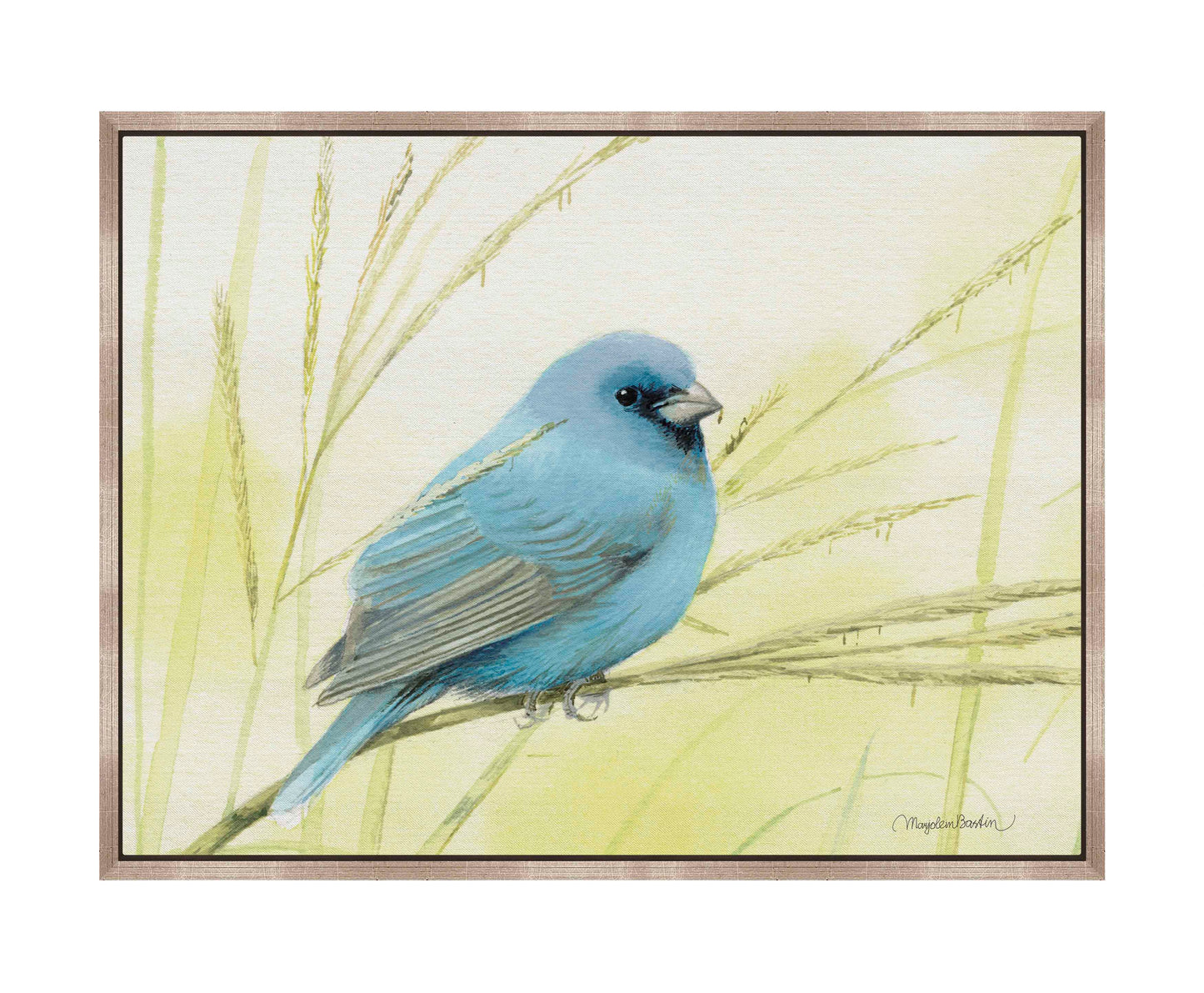 Searching for Seeds - Gallery Wrapped Canvas